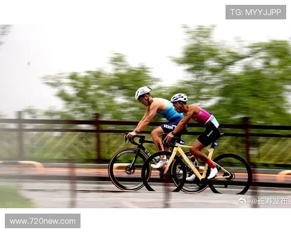 全球知名铁人三项运动员完整名单与年度实力深度分析大全权威版集